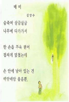 매미 울음 '한여름 사랑의 세레나데'