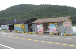 참외밭 직거래로 고소득 올려