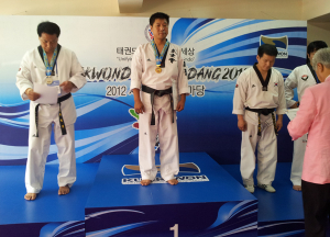 '세계태권도 한마당' 주먹격파 1위