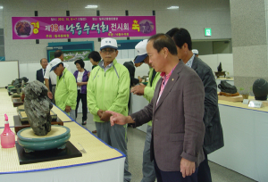 낙동수석 전시회, 종합운동장에서 열려