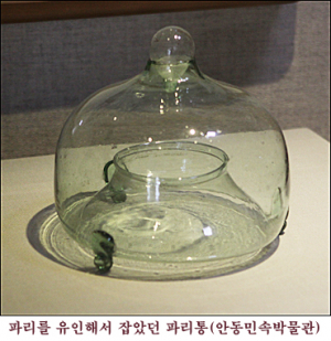 파리를 잡는 도구, 파리통
