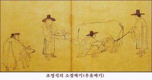 우리 겨레는 언제부터 우유를 마셨을까?