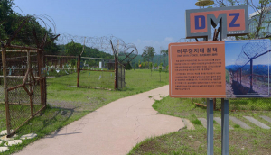 DMZ 철책 '낙동강세계평화대축전'에 전시