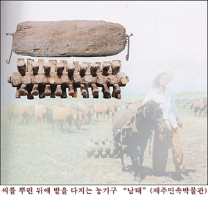 제주도 농기구 남태를 아시나요?