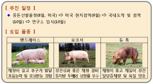 경북도, 외국산 원종 씨돼지 19마리 도입