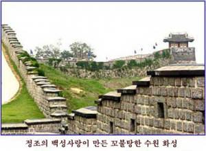 정조가 백성에게 준 영양제 '제중단'