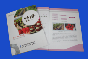 경상북도농업기술원 ‘싼타 딸기 재배 매뉴얼’ 발간 