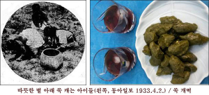 쑥으로 미용과 건강 두마리 토끼를 잡자
