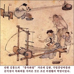 문익점이 목화씨를 훔쳐왔다는 것은 허구