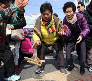 제34회 왜관읍민 윷놀이 한마당 행사열려