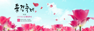 1004 섬 신안, 형형색색 유럽풍 튤립 향연