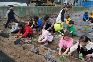 가산교육가족 Farm’s day 운영