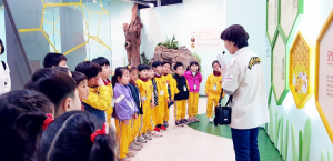 왜관초병설유치원, 꿀벌나라테마공원 현장체험학습 실시