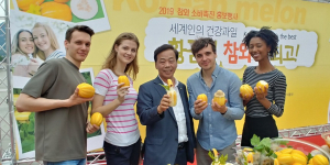 “광화문에서 성주 명품참외·칠곡 벌꿀참외 맛보세요!”