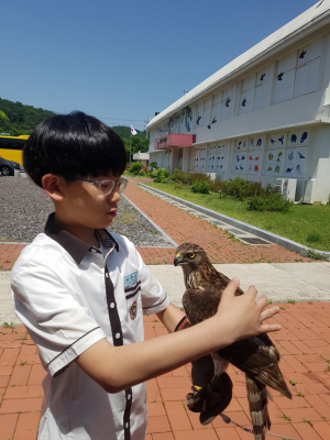 순심중 “오늘은 내가 매부리”