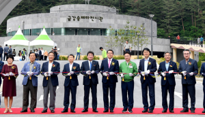 금강송 숲길 따라 힐링 여행 떠나요~ 울진 금강송에코리움 개관