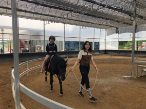칠곡Wee센터, 조랑말 체험 지원