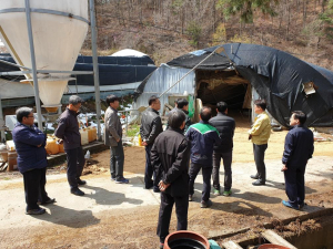 축산농가, 무허가축사 적법화 서둘러야 '7월이 골든타임'