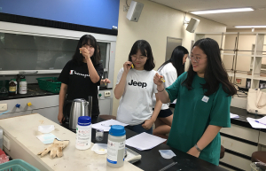 예비 화학교사와 함께하는 화학 실험