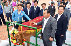 경북 ‘명품 한우’를 찾아라~ 경북 최고 명품한우 선발대회 열려