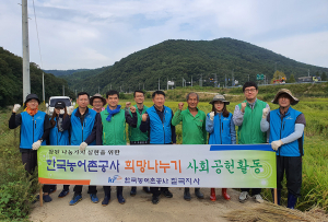 농어촌공사 칠곡지사, 벼 세우기 일손 도와