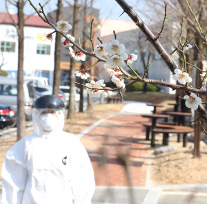 칠곡군, 휴일반납 코로나 확산 저지 총력전
