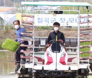 칠곡군, 사회적 거리두기로 ‘첫 모내기’ 실시