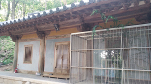 경북의 보호수, 문화·관광자원으로 만든다