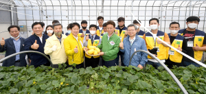 서서 짓는 참외형 스마트팜 국내 첫 개발