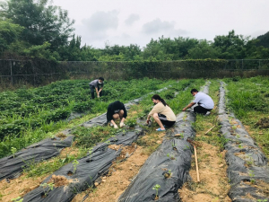 경북교육청 학교 텃밭 활동 운영 학교 12개교 선정