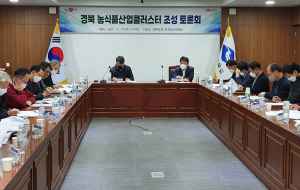 경북도, 통합신공항 인근... 농식품산업클러스터 조성 시동