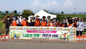 석적읍지역사회보장협의체 ,‘나눔의 텃밭’ 감자수확