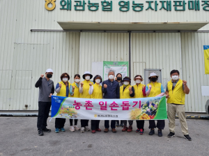 왜관농협, 농가 일손돕기에 구슬땀