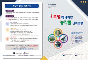 경북도, 농작물 폭염 피해 예방 총력!