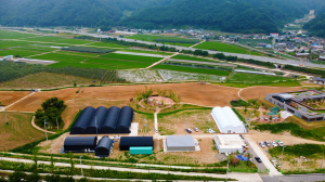 이철우 도지사, 산업용 헴프 규제자유특구 전문가들과 해법 찾는다