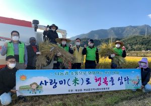 북삼읍 지역사회보장협의체 가을 추수 ‘사랑미(米)로 행복을 심다’