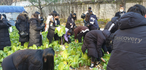 대교초, 더 디딤 캠프 친환경 김치만들기 프로젝트