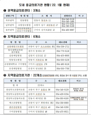 경북도, 설 연휴 오미크론 대응 방역·비상진료체계 구축