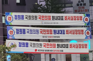 법과 국민 위에 있는 '현수막 국회의원'