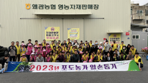 왜관농협, 영농철 맞이 포도농가 일손돕기 실시
