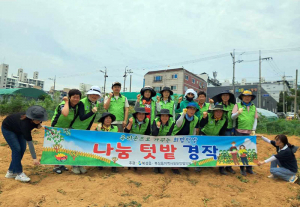 북삼읍지역사회보장협의체, ‘주렁주렁 사랑텃밭’ 감자 수확