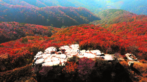 럭키 칠곡' 七谷의 유래 알고 사용해야<br>팔공산 국립공원 승격, 가산의 새 역사를