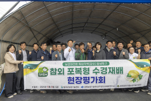 “참외를 물로 키운다?” 칠곡, 전국 첫 ‘수경재배’ 본격 도입