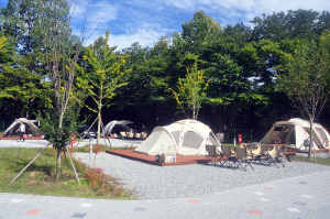 경북교육청, 폐교 활용한 자연 속 힐링 공간, 교육가족과 도민에게 개방