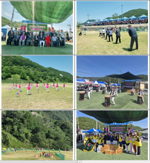 제4회 칠곡군 노인회장기 파크골프 대회 개최