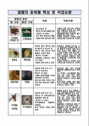 추석 벌초 시즌, 벌떼 예방법은 ?