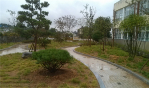 약동초등, 산림청 학교숲 공모 우수학교 선정