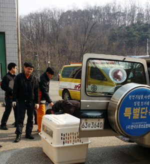 칠곡소방서, 천연기념물 참수리 구조