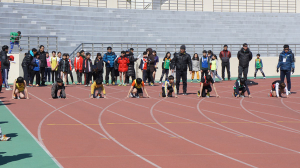 2015 경북도소년체육대회 군 예선대회 열려