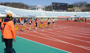 2015 경북도년체전, 칠곡군선수단 두각